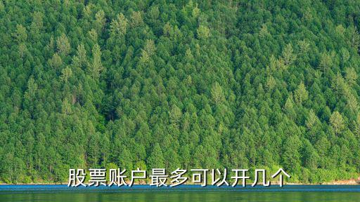 股票每天可以开户多少股，股票账户最多可以开几个
