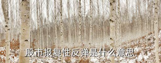 股票为什么反弹严重呢，股票最近怎么迭的很严重