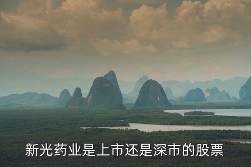 新光药业是上市还是深市的股票