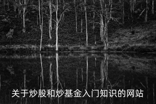 关于炒股和炒基金入门知识的网站