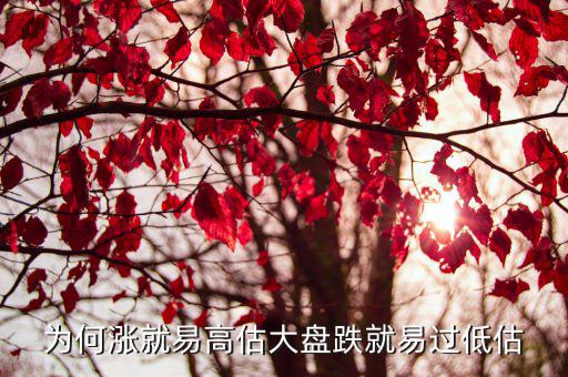 为何涨就易高估大盘跌就易过低估