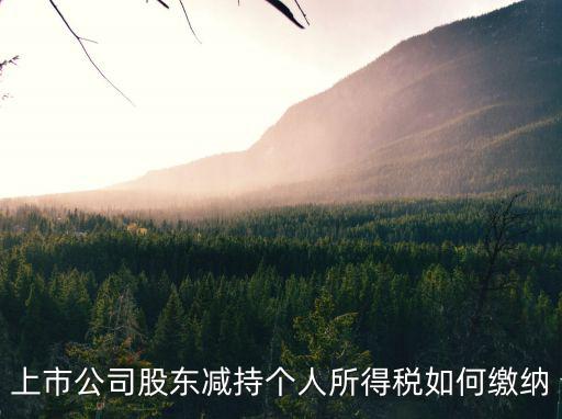 高管卖股票纳税多少，大股东减持如何收税