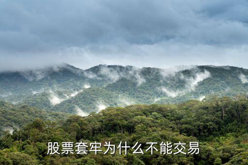 股票套牢为什么不能交易