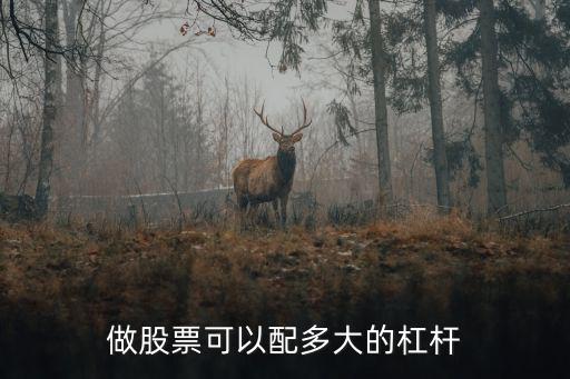 股票杠杆多少才能用，做股票可以配多大的杠杆