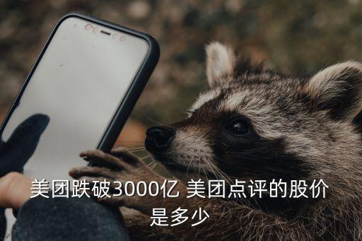 美团跌破3000亿 美团点评的股价是多少