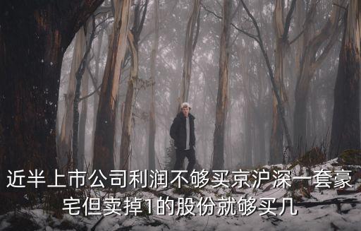 京沪股票可以赚多少，近半上市公司利润不够买京沪深一套豪宅但卖掉1的股份就够买几