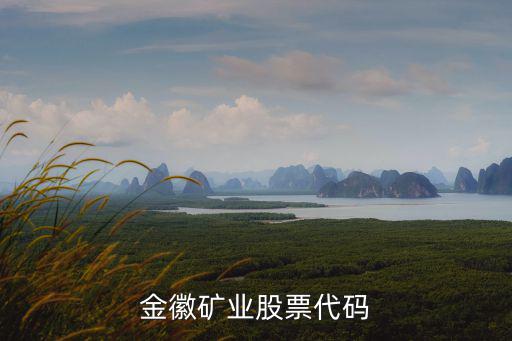 金徽矿业股票代码