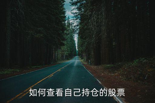 如何看股票持有多少，怎么看股票有多少支阿 沪深A股一共多少支阿