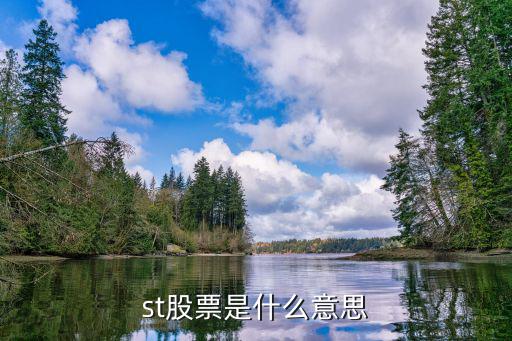 st股票是什么意思
