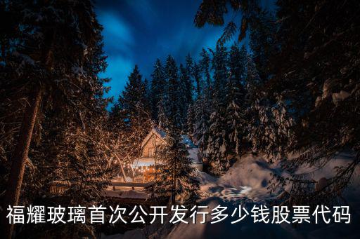 福耀玻璃首次公开发行多少钱股票代码