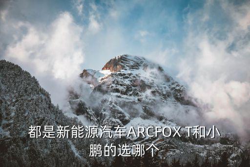 都是新能源汽车ARCFOX T和小鹏的选哪个