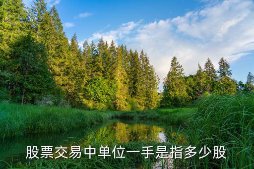 特斯拉股票一手多少，请问股票1手是多少股