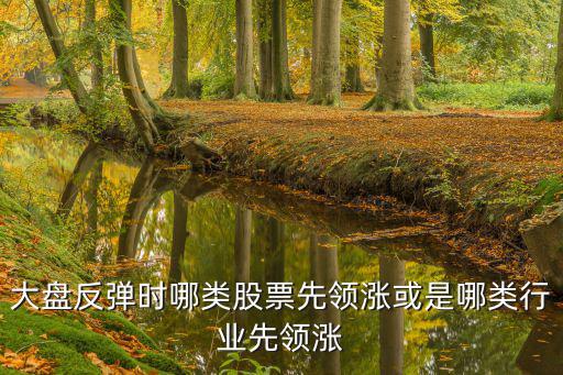 大盘反弹行情买什么股票，大盘企稳反弹的话哪几类股将率先表现