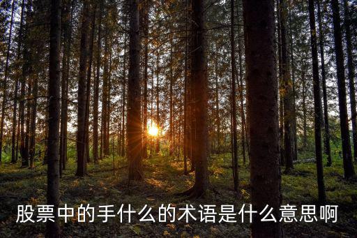 股票2844手什么意思，这是股票分时图请问最下面量能柱最左边的数字8533 5689 2844是