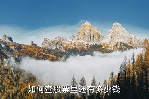 如何查股票里还有多少钱