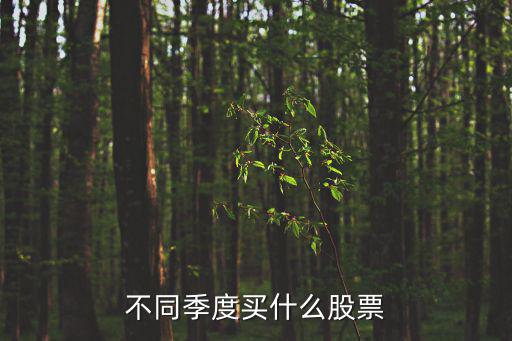 股票每个季度炒什么，股票分为几个季度