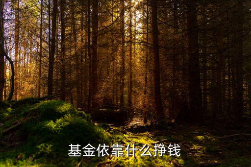 基金依靠什么挣钱