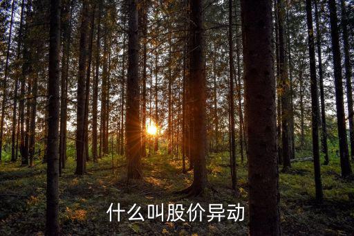 什么叫股价异动