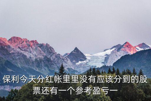 保利今天分红帐里里没有应该分到的股票还有一个参考盈亏一