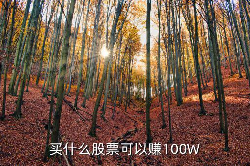 买什么股票可以赚100W