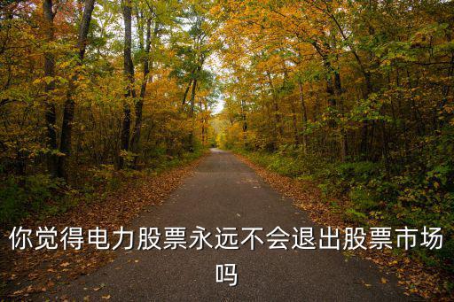 你觉得电力股票永远不会退出股票市场吗