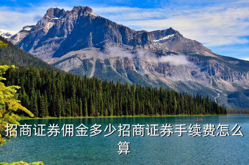 招行股票交易佣金多少，招商证券股票交易手续费一般是多少