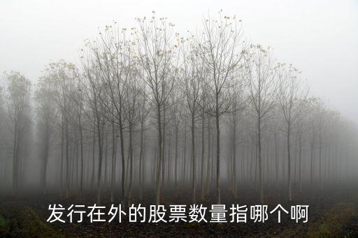 发行在外的股票数量指哪个啊