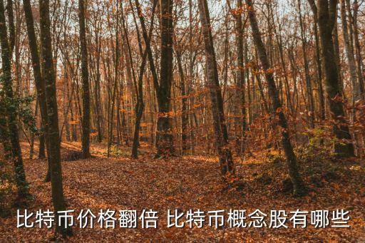 数字货币股票有多少只，比特币价格翻倍 比特币概念股有哪些