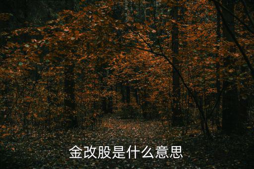 股票金改什么意思，金改股是什么意思