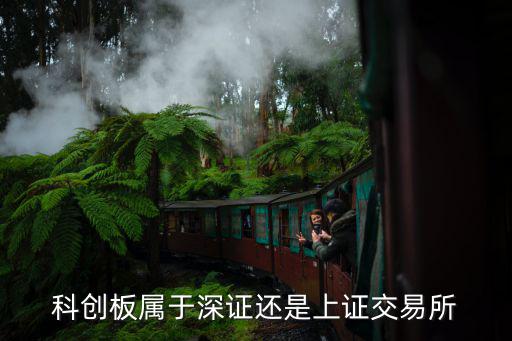 科创板股票属于什么，科创板是深市股票还是沪市股票