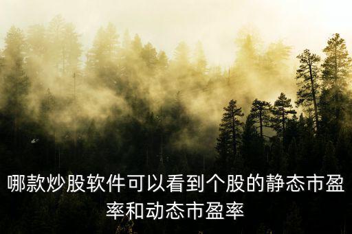 哪款炒股软件可以看到个股的静态市盈率和动态市盈率