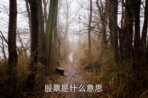 股票是什么意思