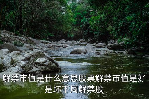 解禁市值是什么意思股票解禁市值是好是坏下周解禁股