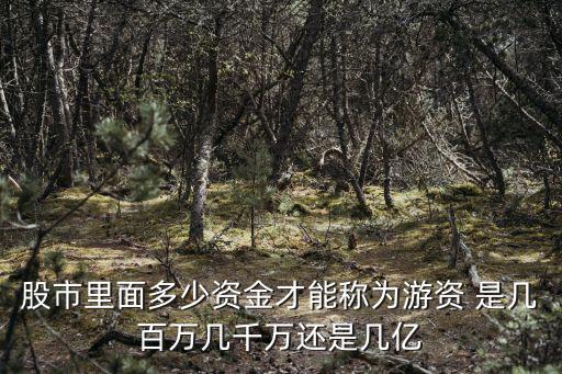 股市里面多少资金才能称为游资 是几百万几千万还是几亿