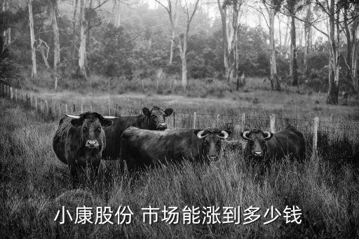 小康股份 市场能涨到多少钱