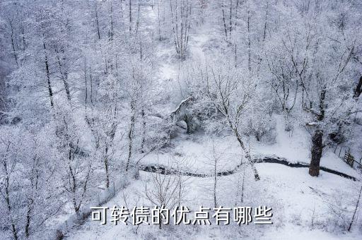 可转债的优点有哪些