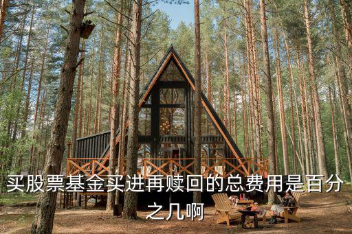 买股票基金买进再赎回的总费用是百分之几啊