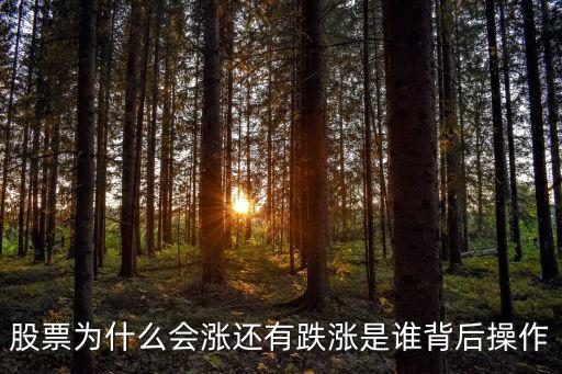 短线股票为什么会涨，股票为什么会涨还有跌涨是谁背后操作