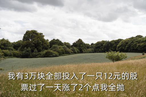 我有3万块全部投入了一只12元的股票过了一天涨了2个点我全抛