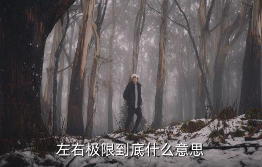 股票极限是什么指标，股票里的极点是什么意思