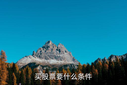 买股票要什么条件