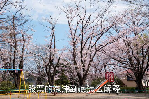 股票的泡沫到底怎么解释