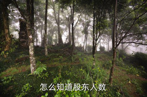 股票股东人数怎么看，怎么查看一支股票的股东总人数