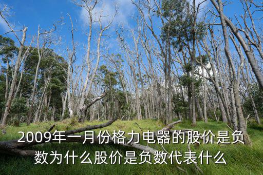 空调股票为什么亏损，2009年一月份格力电器的股价是负数为什么股价是负数代表什么