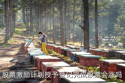 股权激励股票能涨多少，股票激励计划授予登记完成股票会涨吗