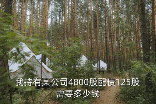 我持有某公司4800股配债125股需要多少钱