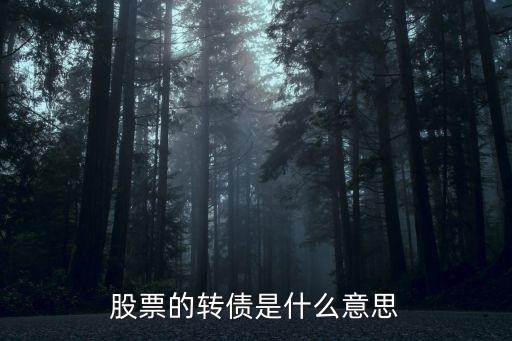 股票的转债是什么意思