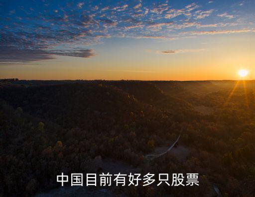 中国目前有好多只股票