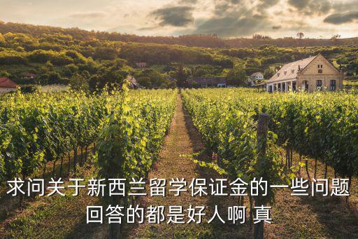 最差的汽车股票是什么，个人申请美国旅游签证难不难
