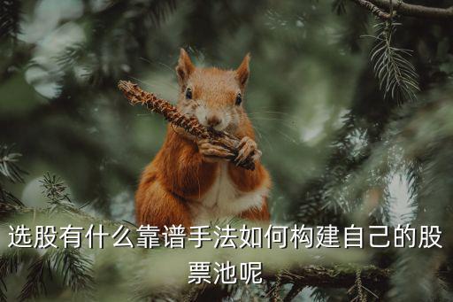 选股有什么靠谱手法如何构建自己的股票池呢